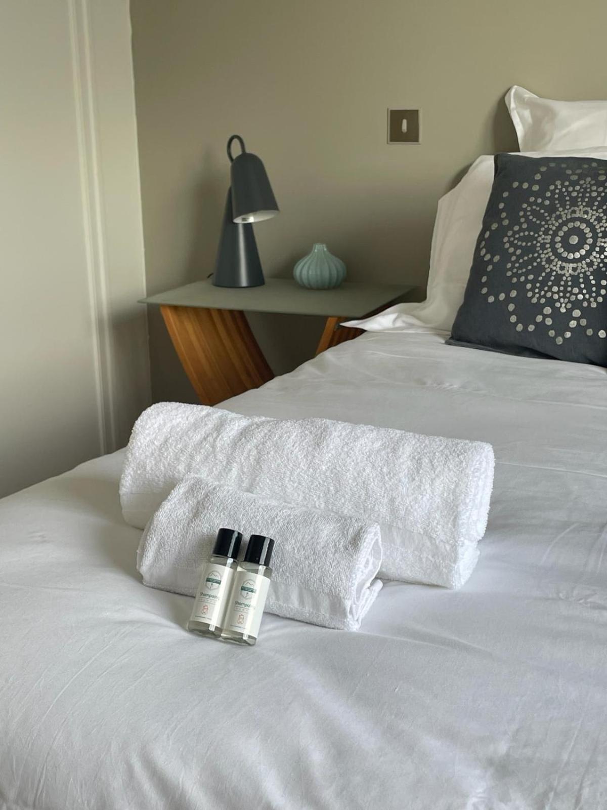 Tournette-Comfortable And Quiet Luxury Apartment Анси Экстерьер фото